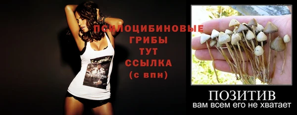 дурь Белокуриха
