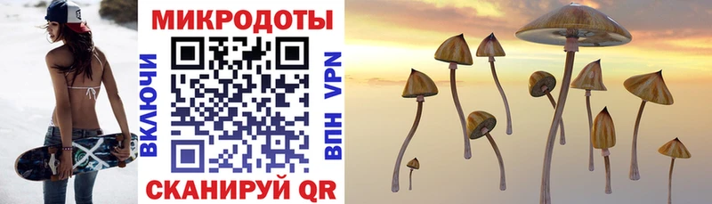 Псилоцибиновые грибы ЛСД  omg ссылки  Калининец 